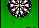 501 Darts